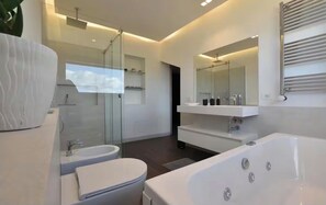 Shower, jetted tub, hair dryer, bidet