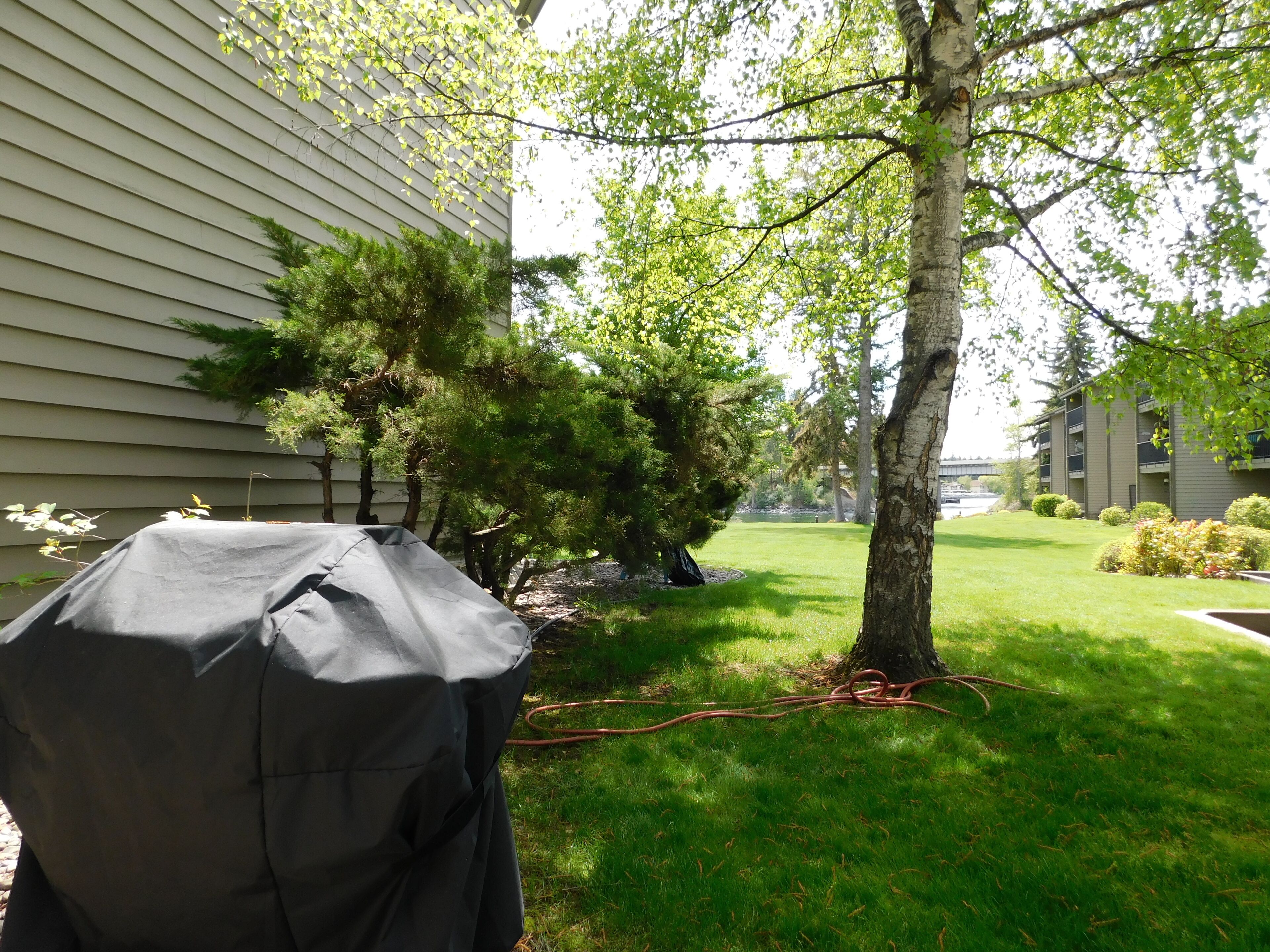Ein Garten mit Grillüberdachung, Rasen und Baum.