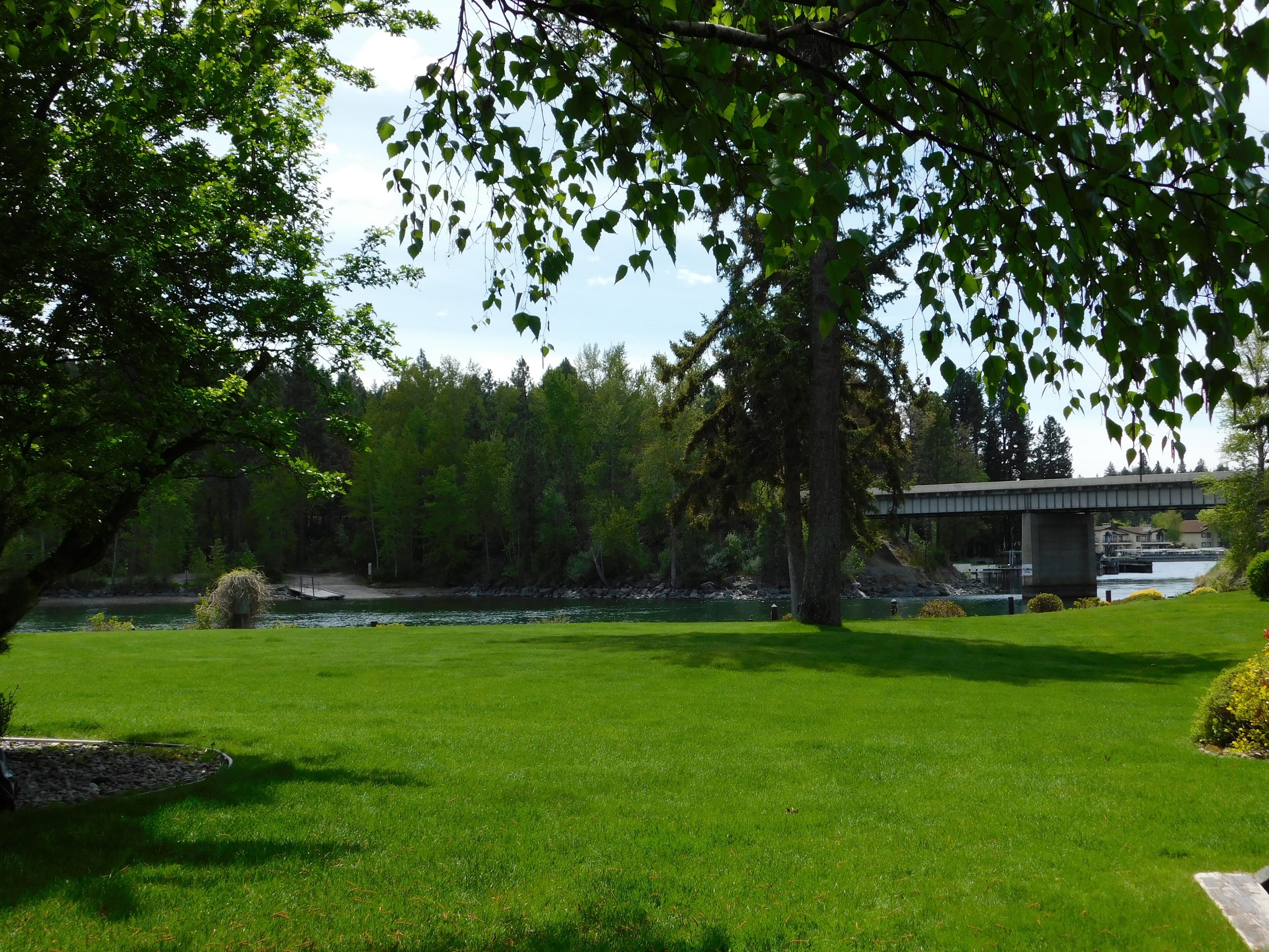 Eine Wiese mit einer Brücke und einem Fluss im Hintergrund.