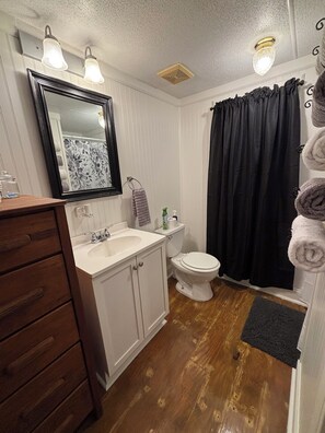 Combined shower/bathtub, hair dryer, towels, shampoo