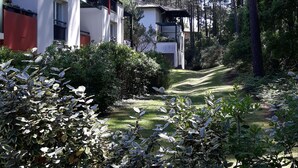 Un quartier résidentiel avec une maison blanche, un mur rouge et un jardin bien entretenu, agrémenté de divers arbustes et arbres.