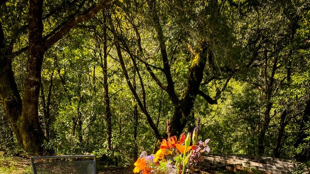 An outdoor dining table set with plates, cutlery, a vase of flowers, and a wooden bowl. - Glamping in the Redwoods, with hot tub! The Knoll (Garberville)