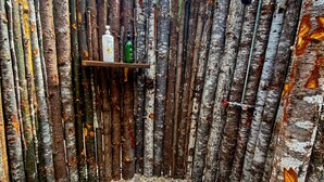 A rustic outdoor shower area with birch logs, a shelf with toiletries, and a pebble floor. - Glamping in the Redwoods, with hot tub! The Knoll (Garberville)