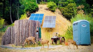 A rustic outdoor setting with a wooden structure, solar panels, and a portable toilet. - Glamping in the Redwoods, with hot tub! The Knoll (Garberville)