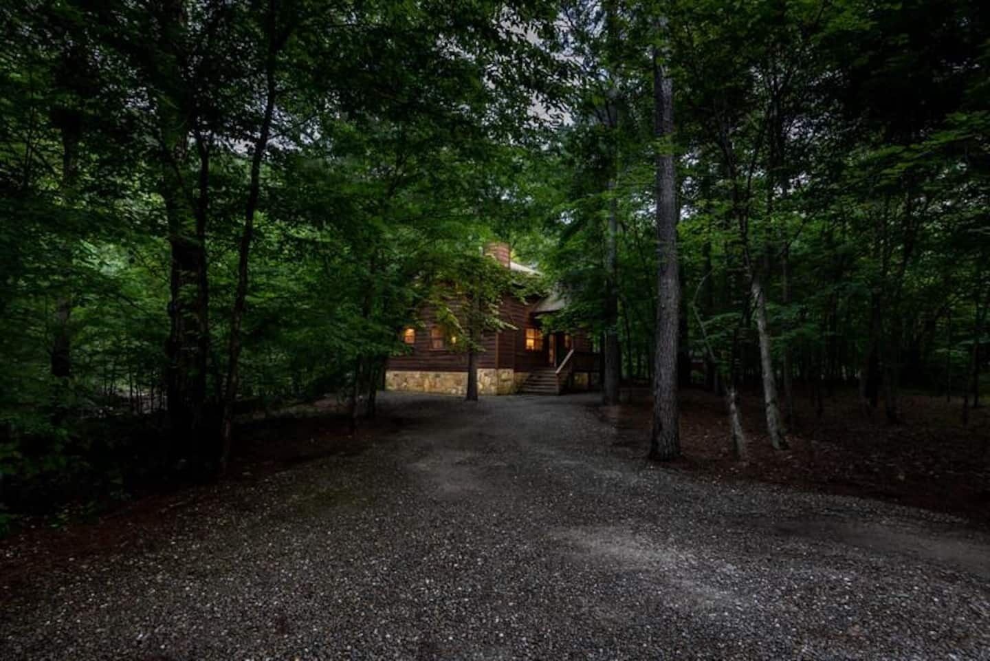 A rustic cabin surrounded by dense forest.