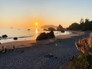 Beach nearby - Glamping in the Redwoods, with a hot tub! The Orchard (Garberville)