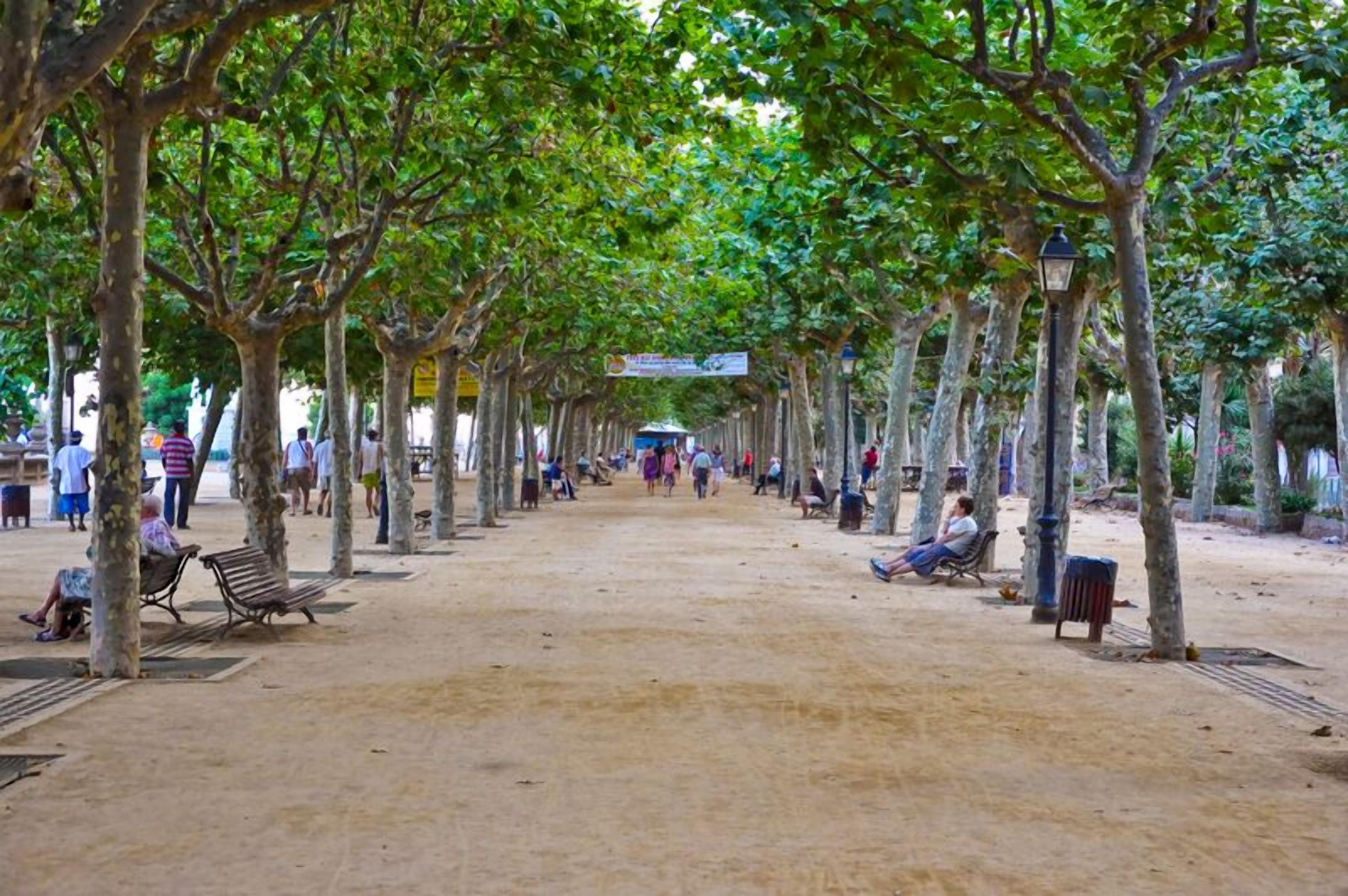 Foto - Pensión Colibrí