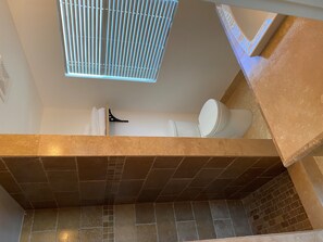 Shower, towels, toilet paper