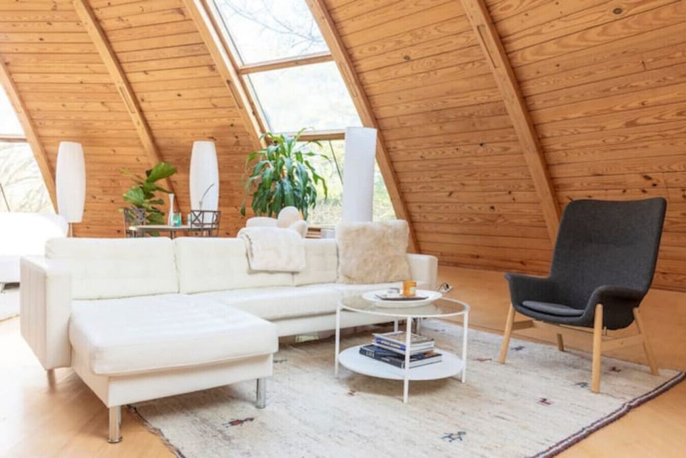 智能電視、壁爐、書籍、音響