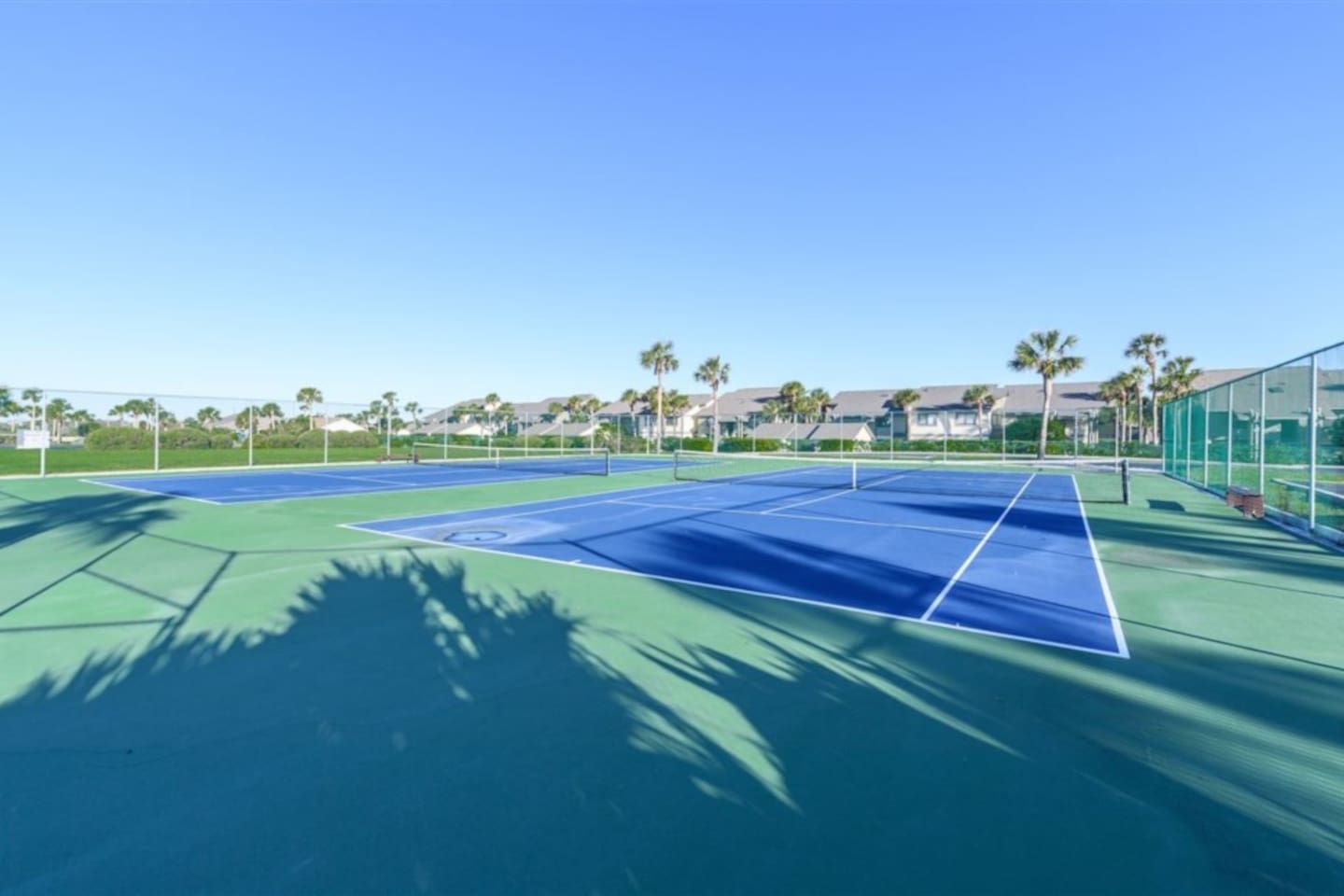 A tennis court with a net, surrounded by a fence, and palm trees in the background.