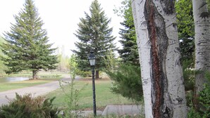 A park with birch trees, a lamp post, and a road. - Spacious House North of Gunnison (Gunnison)