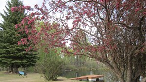 A park with a bench, a pond, and a tree with pink blossoms. - Spacious House North of Gunnison (Gunnison)