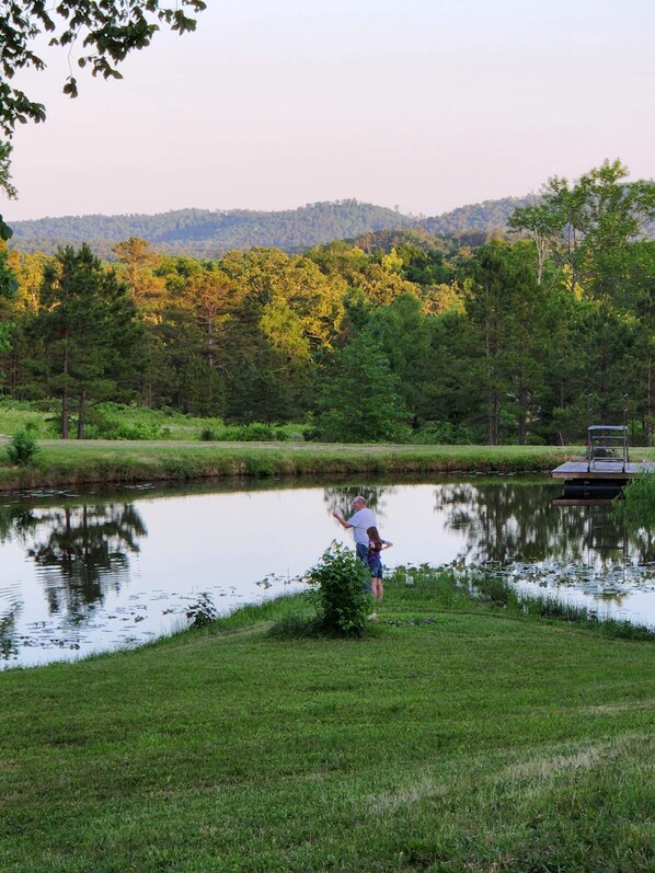 Property grounds - Cabin in Ouachita mountains with hot tub and great views! (Oden)