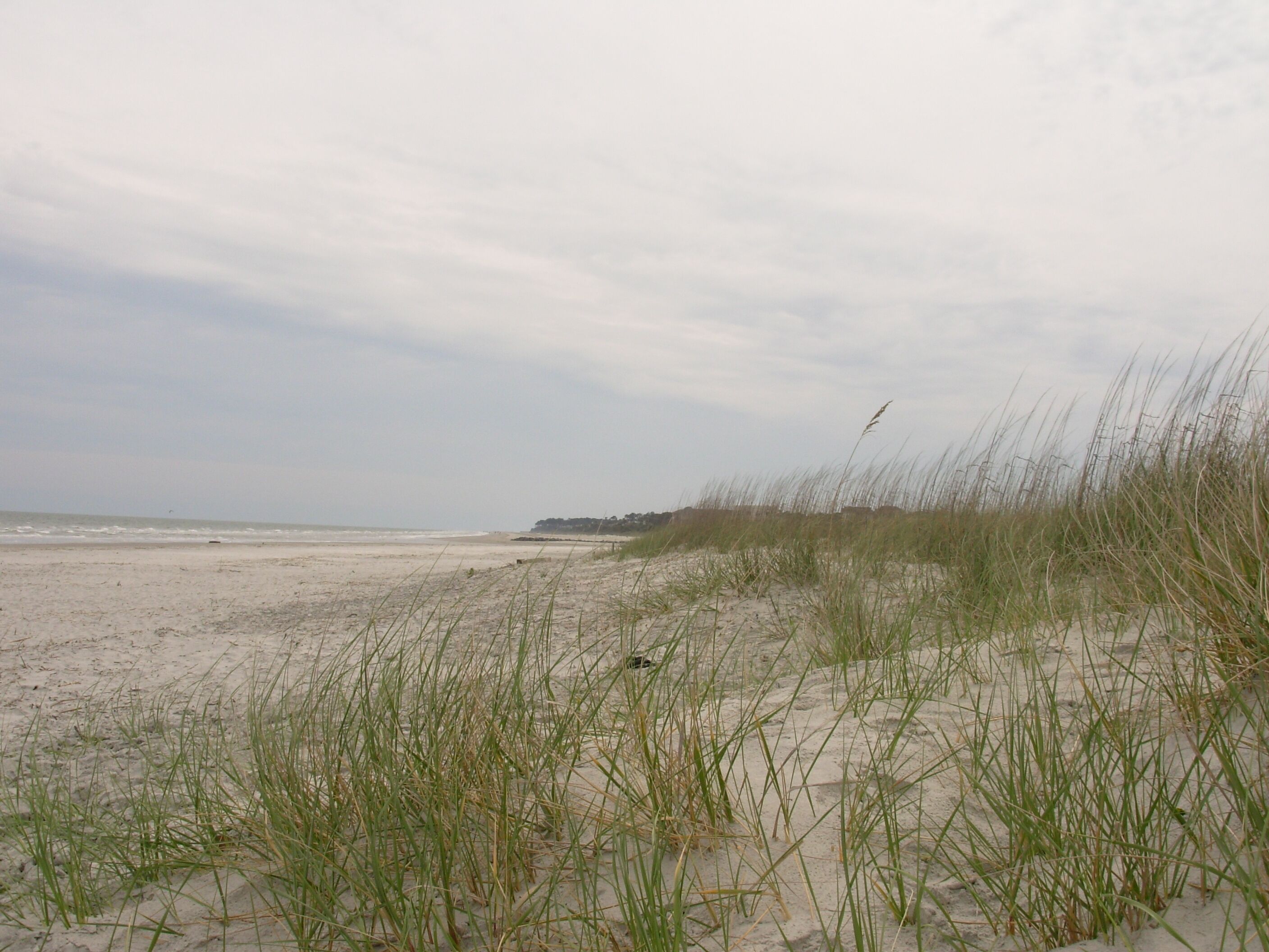 A beach with sand and grass in the foreground.