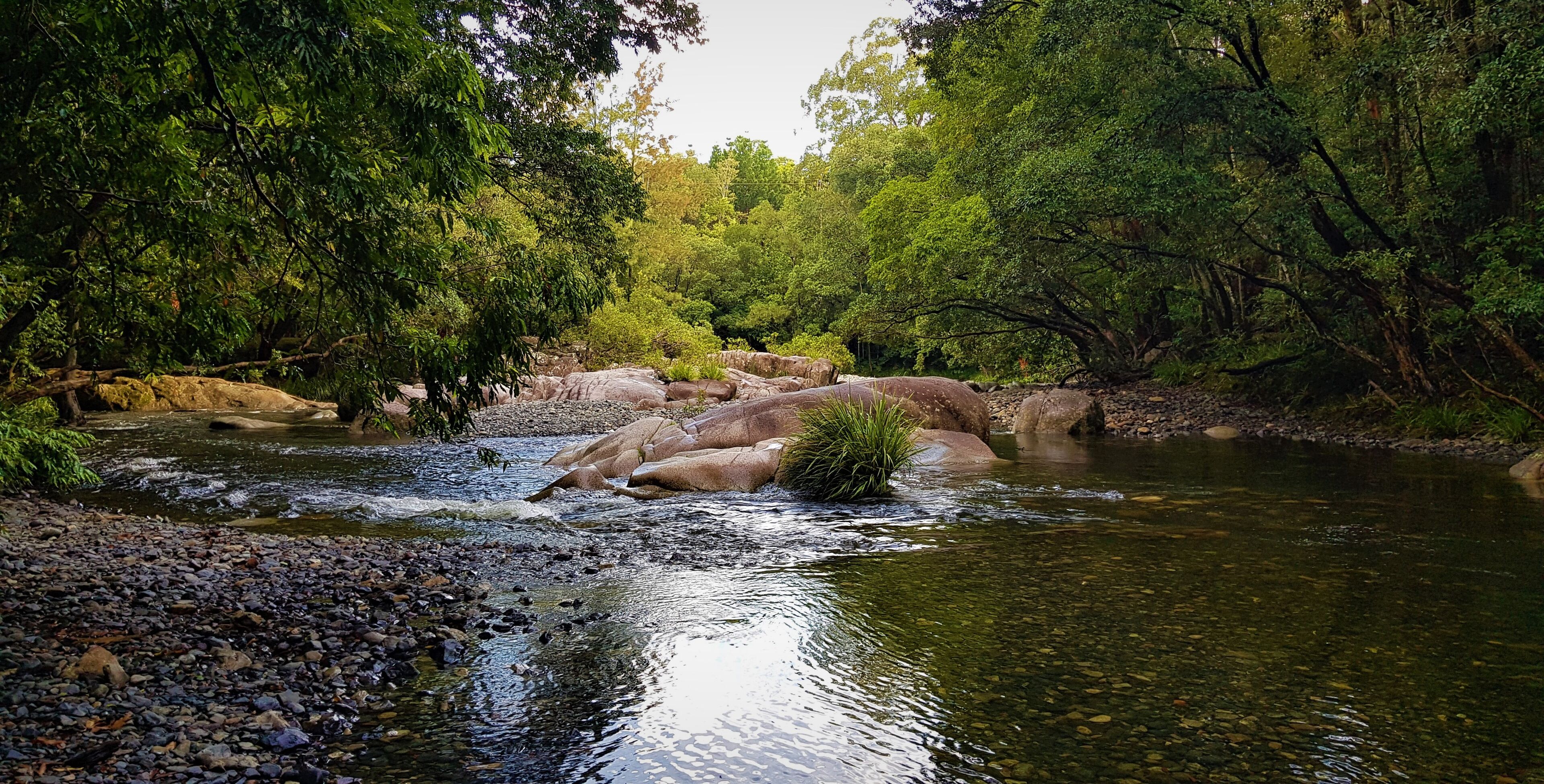 Een rivier die door een bebost gebied stroomt, met rotsen en beplanting langs de oevers.