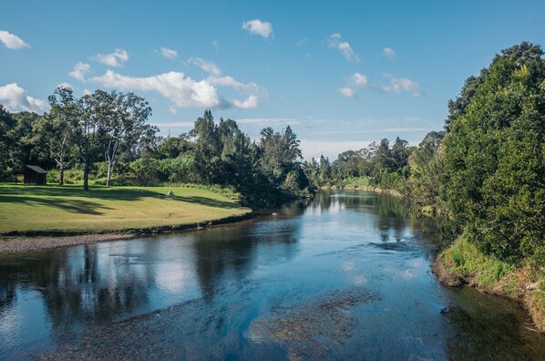 Un río con una orilla cubierta de hierba y árboles.