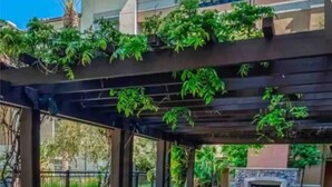 An outdoor patio area with stone flooring, a pergola covered with greenery, and a stone fireplace.