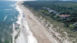 Une vue aérienne d’une zone côtière comprenant une longue plage de sable, une zone boisée dense et plusieurs grandes maisons dotées d’allées apparentes et de piscines.