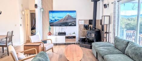 Smart TV, fireplace, stereo, computer monitors