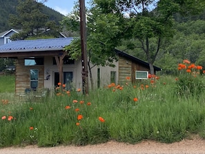 Exterior - Pristine New Modern Bungalow At the Base of The National Forest; 1 Acre of land (Palmer Lake)