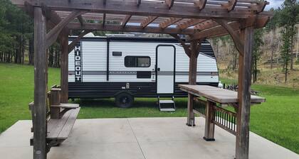 Secluded getaway with private pond in the Black Hills, minutes from Custer!