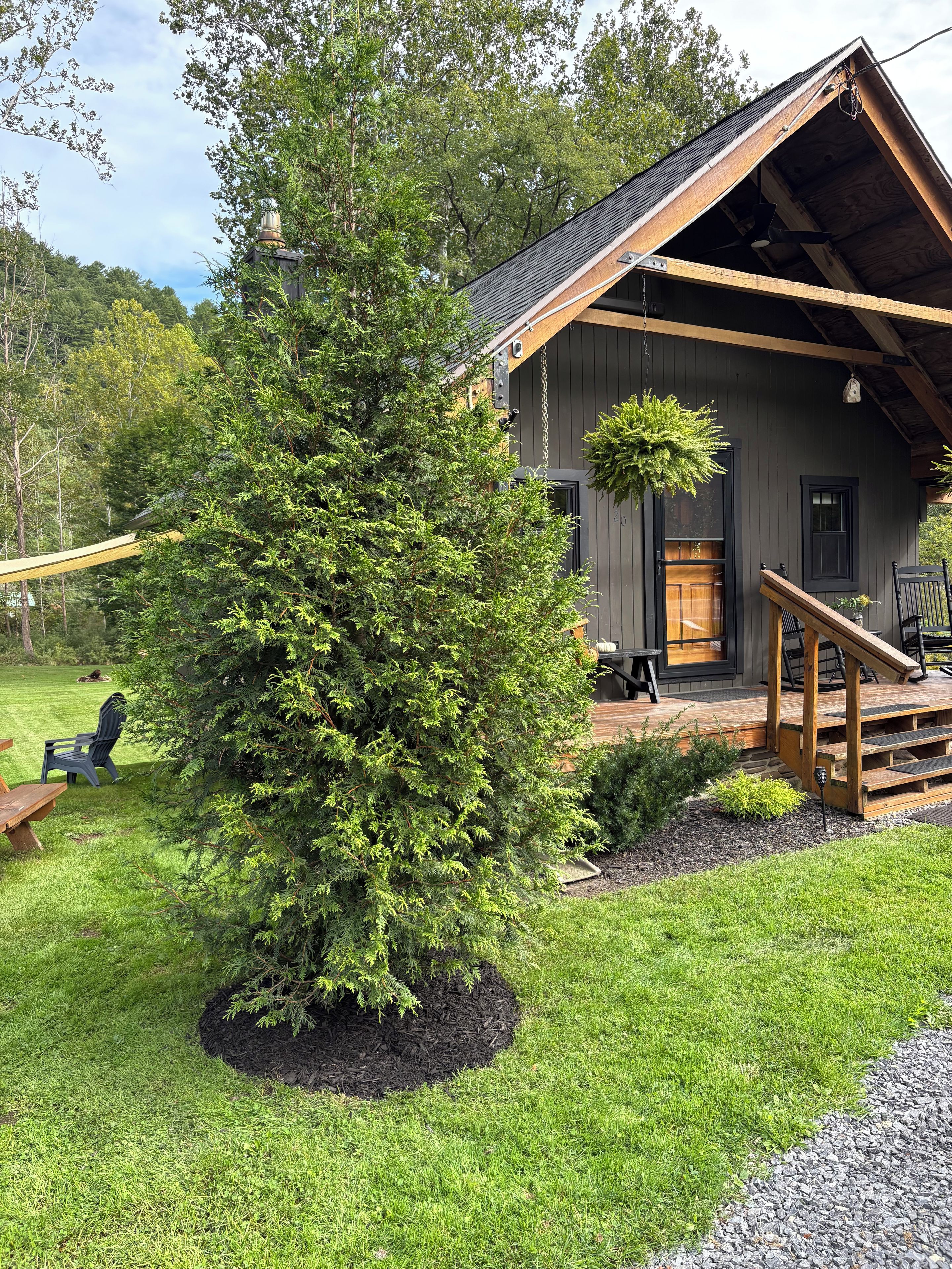A cabin with a wooden deck, a covered porch, and a large evergreen tree in the foreground.