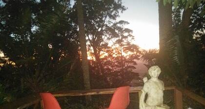 Rainforest setting with sunset views