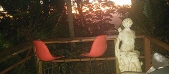 Rainforest setting with sunset views