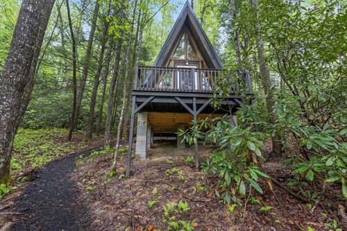 A-Frames Under the Canopy- Pet Friendly, WiFi, Fireplace