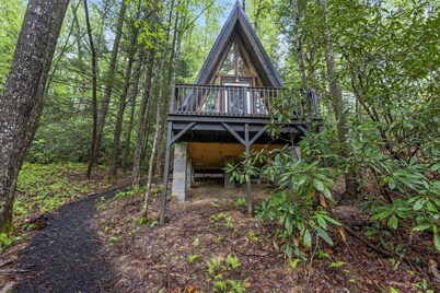 A-Frames Under the Canopy- Pet Friendly, WiFi, Fireplace