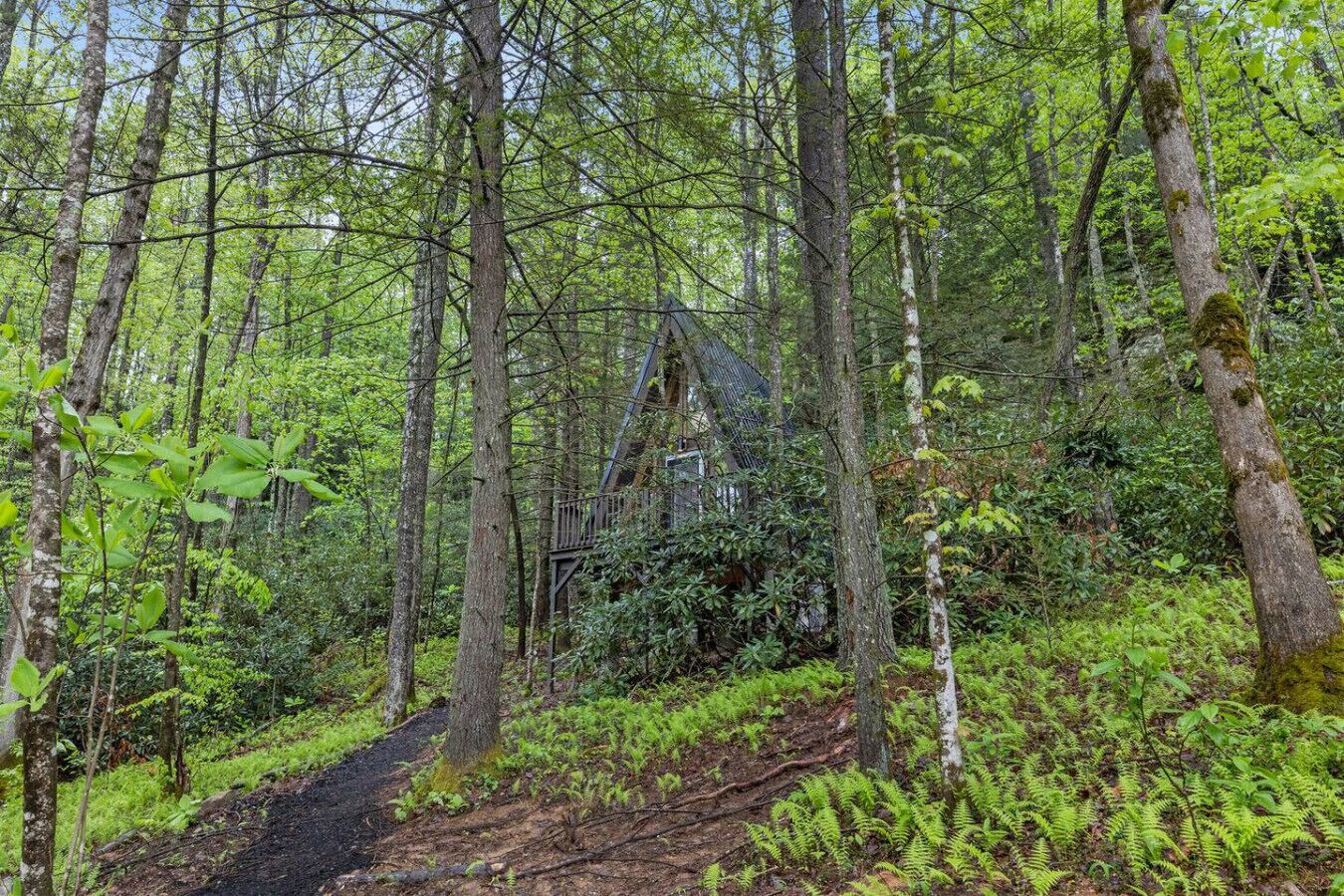 A forested area with a wooden structure that appears to be a cabin or small house.