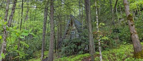 A forested area with a wooden structure that appears to be a cabin or small house.
