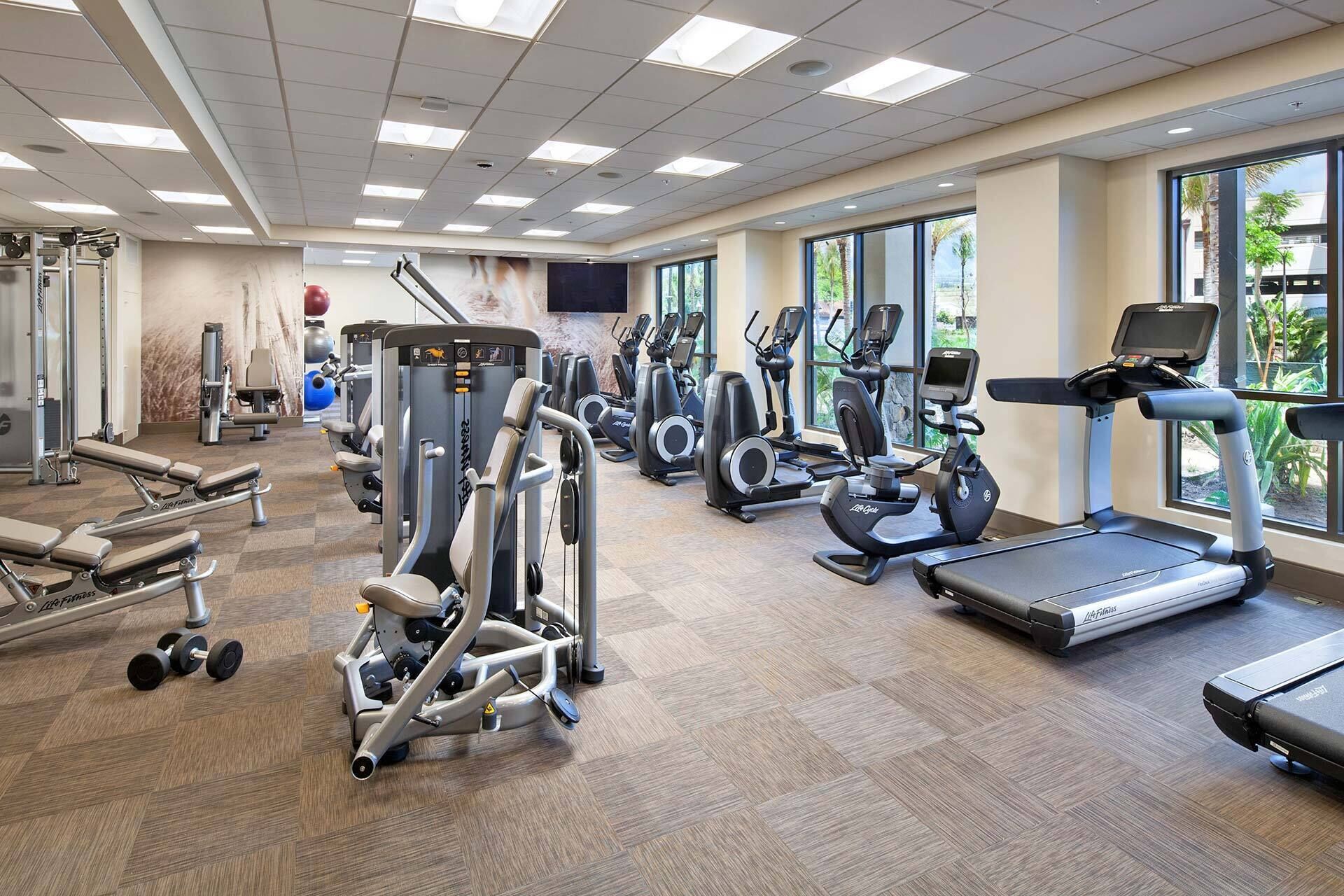 Une salle de sport équipée de machines de cardio, de machines de musculation et d’haltères.