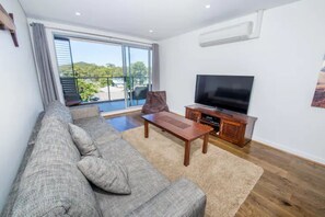 TV, DVD player, books