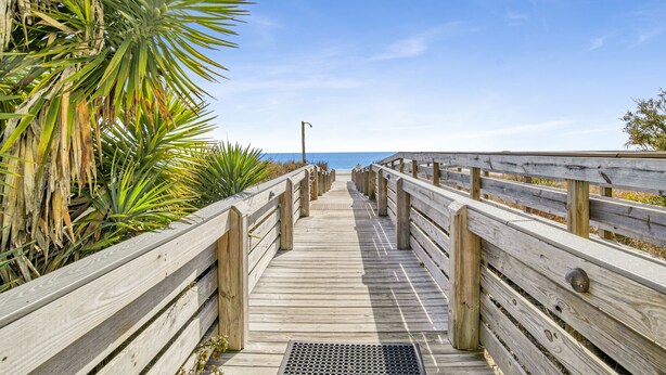 Un paseo marítimo de madera que lleva a una playa, rodeado de palmeras y un cielo azul despejado.