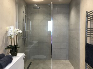 Combined shower/tub, hair dryer