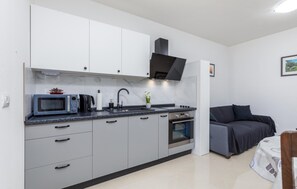 Fridge, oven, stovetop, dishwasher