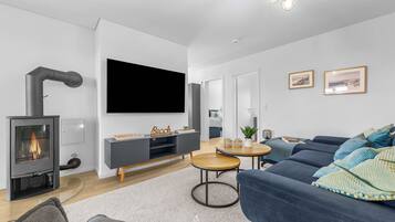 Televisión, chimenea