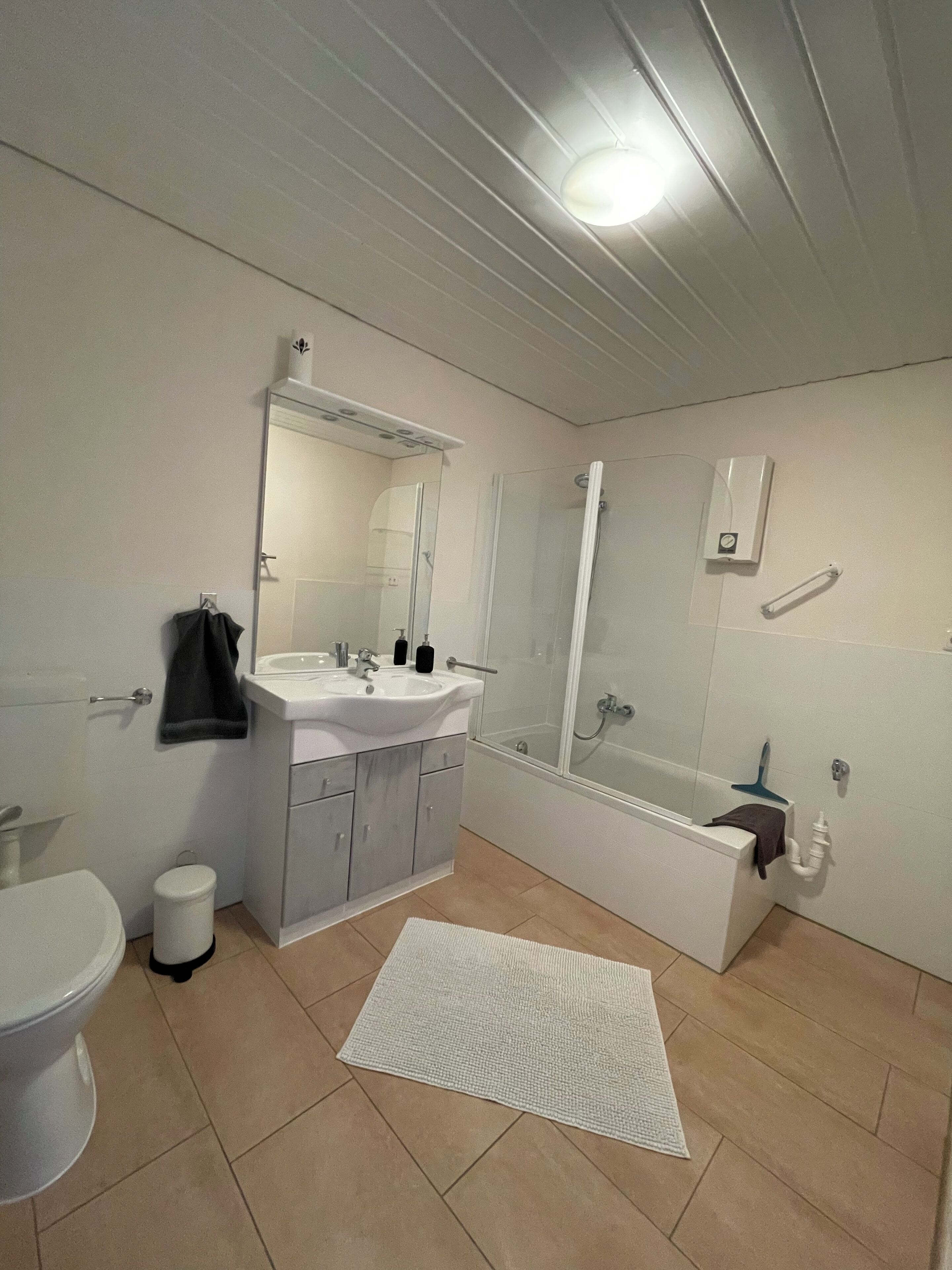 Duschwanne, Haartrockner, Toilettenpapier