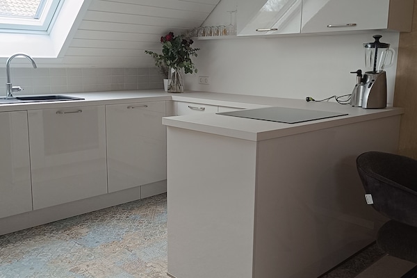 Kjøleskap, ovn, kokeplater og kaffetrakter/tekoker