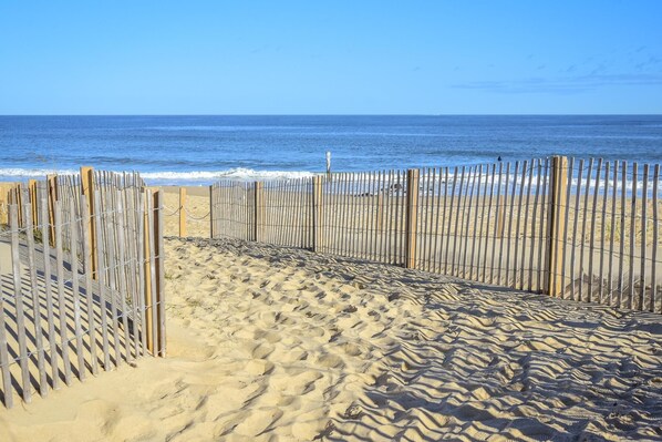 Strand