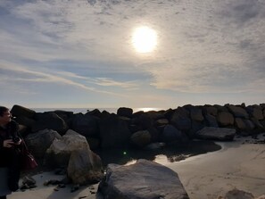Unclassified image, 5 of 26, button - La Casita in the Camargue: authenticity and nature. Sea 5 minutes away (les saintes maries de la mer)