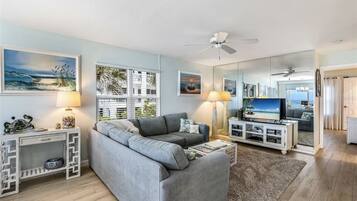Smart TV, DVD player, books, video library