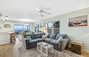 Smart TV, DVD player, books, video library