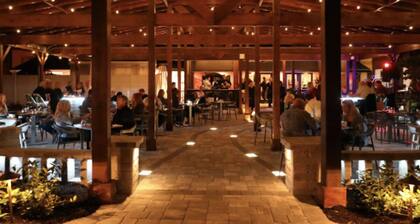 DIRECTLY ON PRIVATE BEACH! AMAZING PANORAMIC GULF VIEWS! MODERN, COZY CONDO