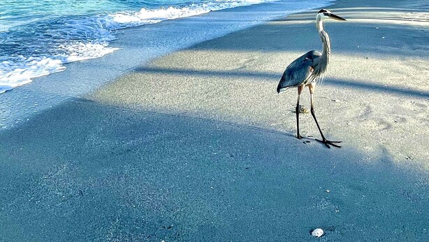 On the beach, sun-loungers, beach towels