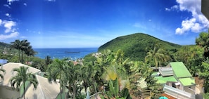 A tropical landscape with a view of the ocean and a hill. - Cannelle Studio - Pool - Sea view (Deshaies)