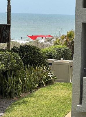 Property grounds - Beachside Dreams-Pet Friendly Condo 25yds from beach w heated pool, 2 parking sp (Indian Rocks Beach)