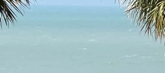 Beachside Dreams-Pet Friendly Condo 25yds from beach w heated pool, 2 parking sp