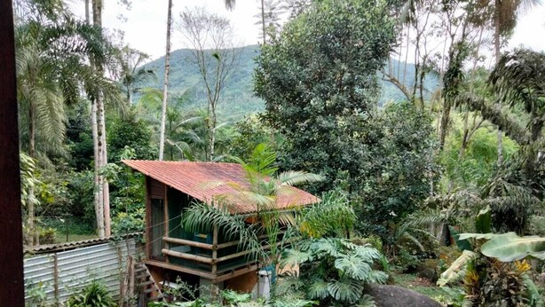 Una cabaña de madera pequeña con techo rojo, rodeada de abundante vegetación tropical y un muro de piedra.